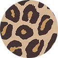 Leopard Leopard