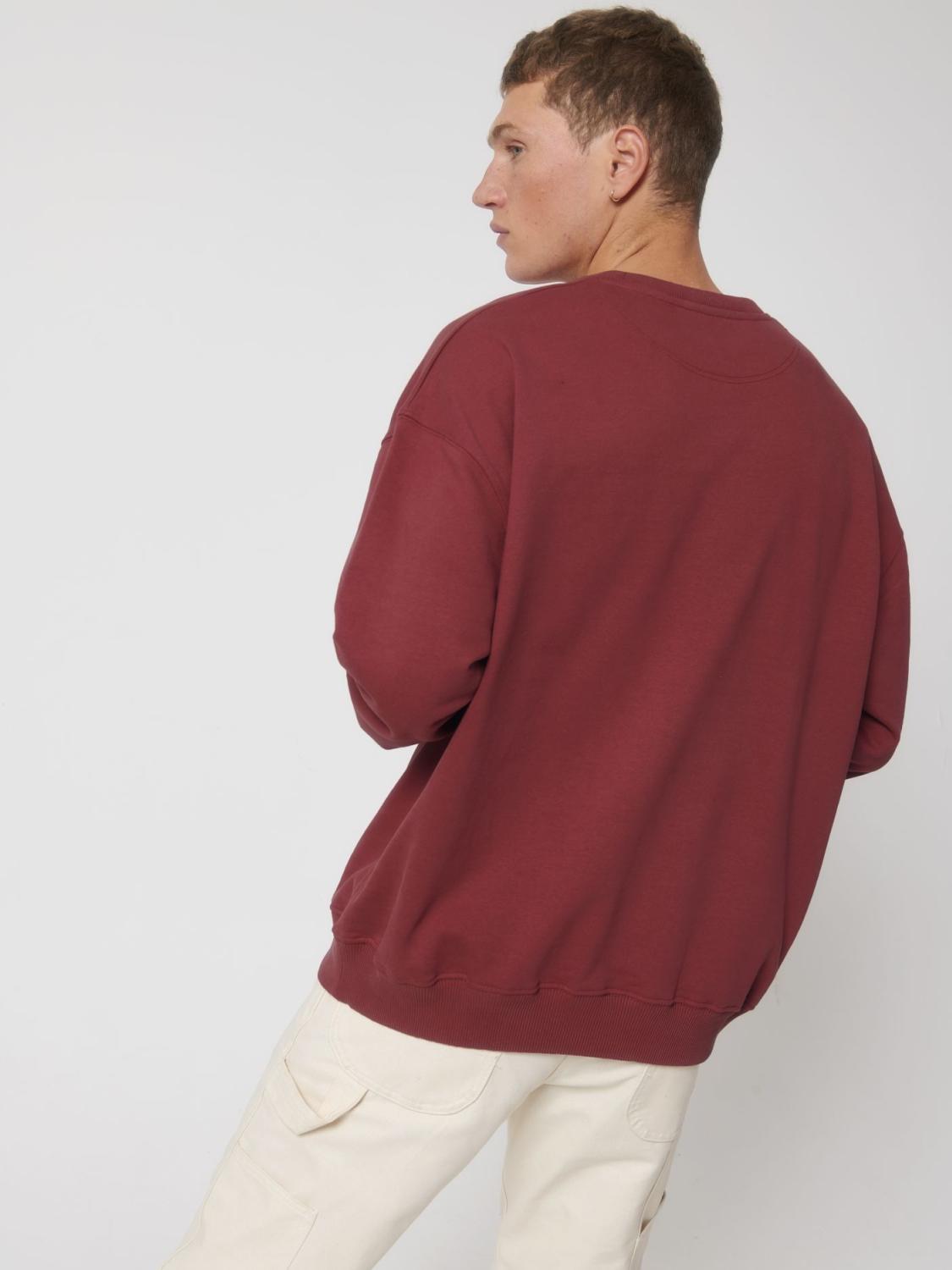 Ledger Dry Red Earth - Fronte Ledger Dry Red Earth - Fronte