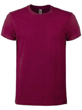 T-shirt Evolution T burgundy