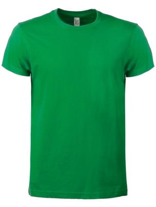 T-shirt Evolution T kelly green