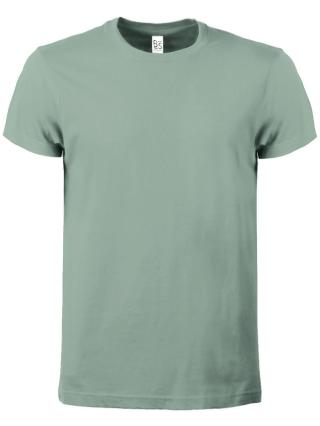 T-shirt Evolution T sage