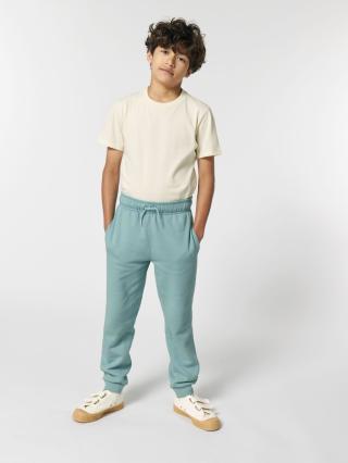 Mini Mover 2.0 Teal Monstera - Fronte