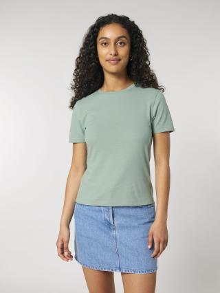 Stella Ella Aloe - Fronte