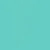 Mint Mint